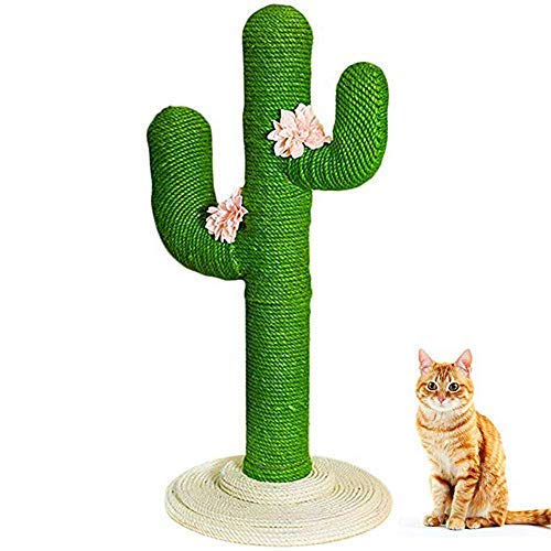 猫クライミングフレーム-垂直猫ジャンプ猫猫スクラッチボード猫教育玩具、ファッションサボテン形状設計、滑り止め、すべての猫に適しています (Green)