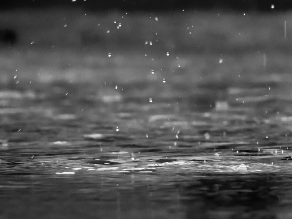 雨の日の水面
